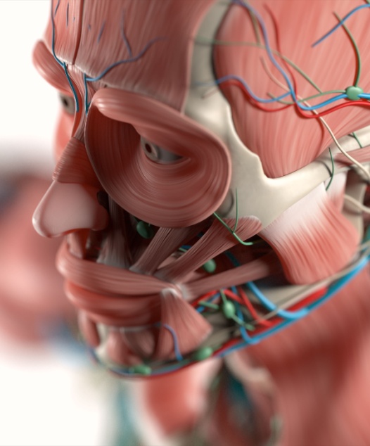 Cirurgia Olfativa (tratamento do olfato) - IVA | Medical Institute